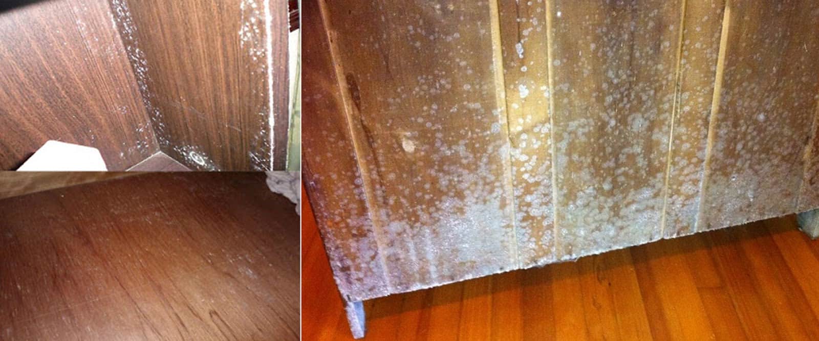 Cách bảo quản, vệ sinh và sửa chữa đồ gỗ - Nội thất gỗ óc chó Anh Vũ
